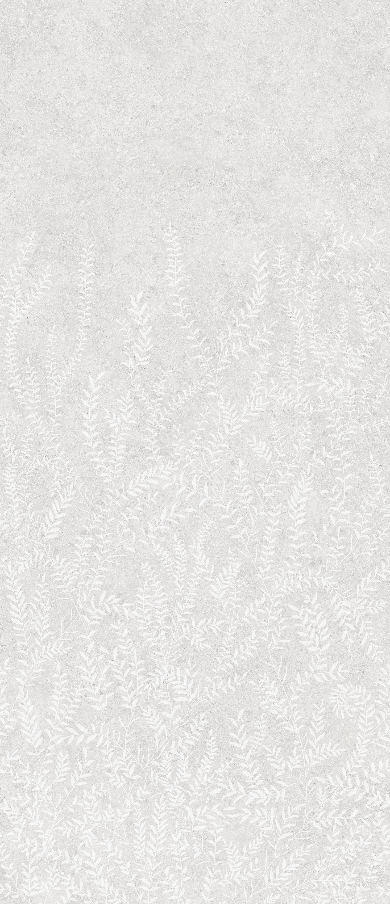 FERN